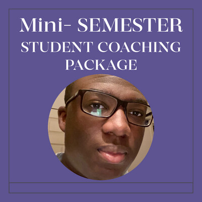 Student Mini Semester Coaching Package