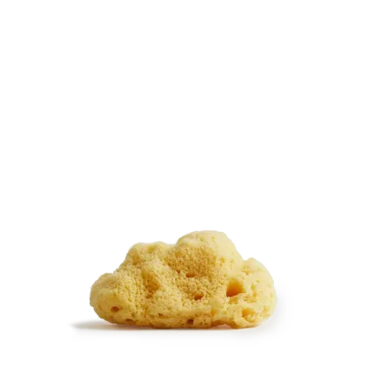 Meeresschwamm Large , Maße: 8-10 cm Meeresschwamm Large , Maße: 8-10 cm