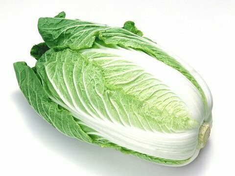 大白菜 Baguio Petchay
0.8-1kg