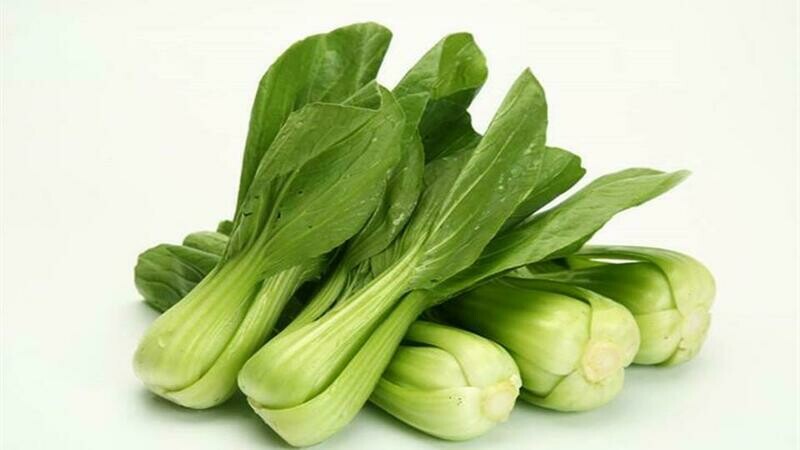 上海青 Shanghai petchay 
0.5kg