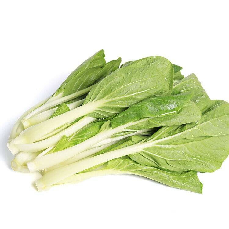小白菜 Tagalog Petchay 
1kg