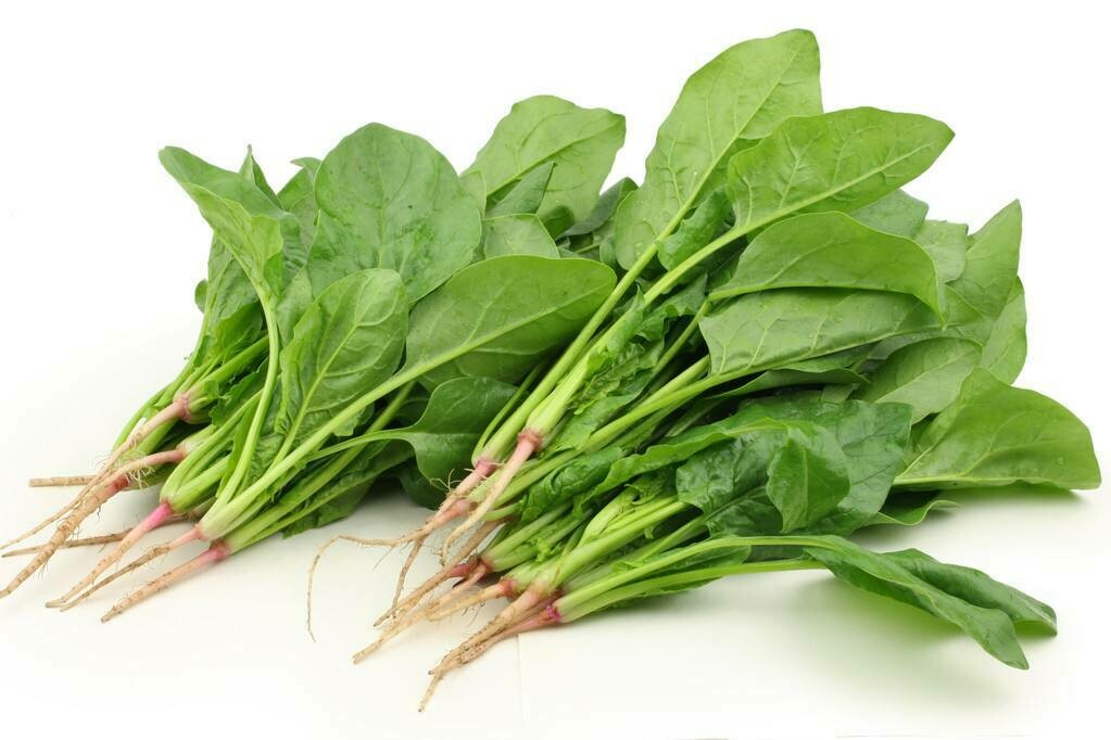 箥菜  Spinach polun
0.5kg
