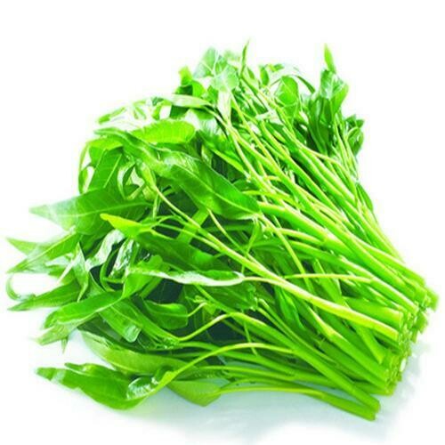 空心菜 Kangkong 
0.5kg