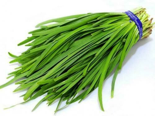 韭菜 Chive 
0.5kg