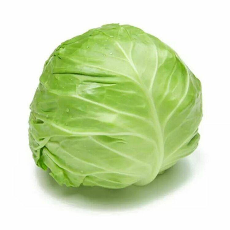 包菜 Cabbage
 0.8-1kg