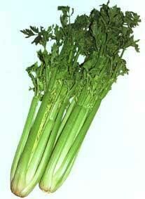 西芹 Celery
0.75kg