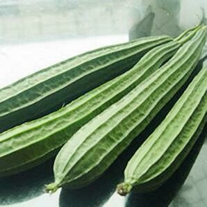 角瓜 Patola kanto 
1kg