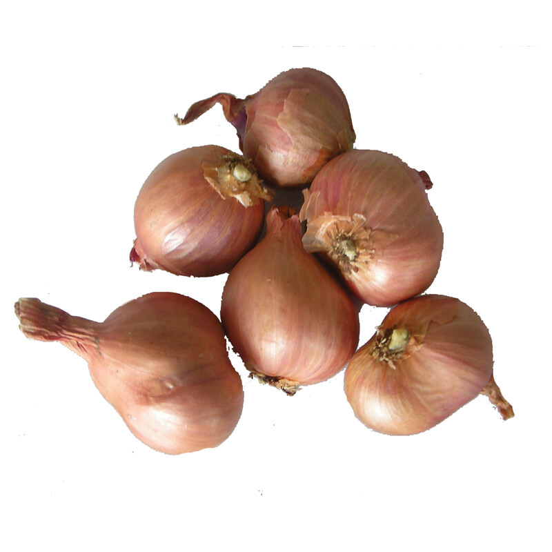 珠葱头 Onion Shallots
0.5kg
