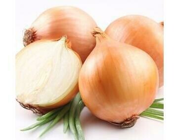 洋葱 White Onion
1kg