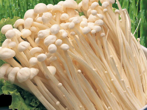 金针菇
Enoki Mushroom 
200g/bag