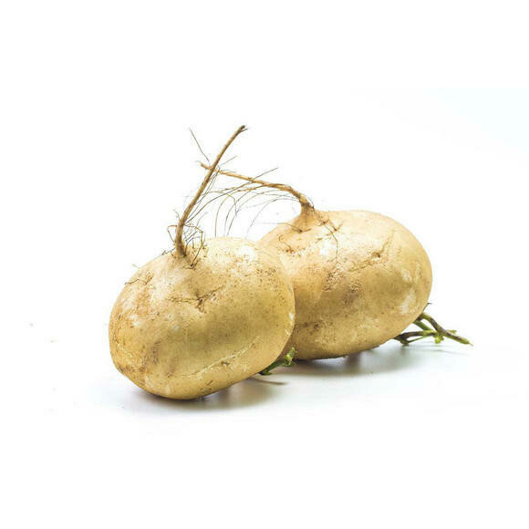 沙葛 Singkamas 
1kg