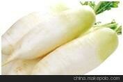 韩种萝卜 Korean radish 
1kg