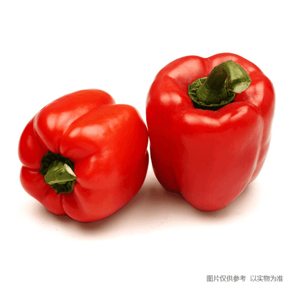 红灯笼椒  Red Bell Pepper 
0.5kg