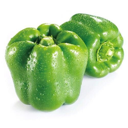 绿园椒 Green Pepper 
0.5kg