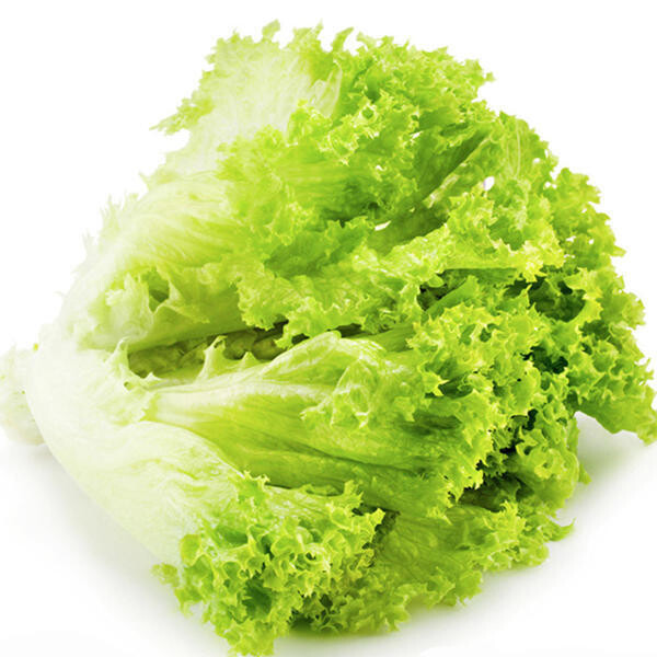 卷边生菜 Ice green Lettuce 
0.5kg