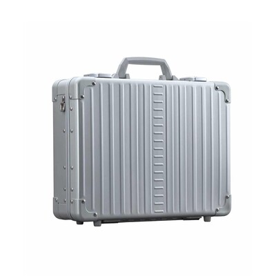 ALEON - 17“ Business Briefcase Platinum