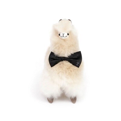 WEICH COUTURE ALPACA - Alpaka PACO WEICH COUTURE ALPACA - Alpaka PACO