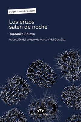Los erizos salen de noche