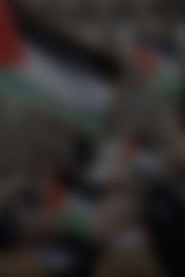 Mirar en la oscuridad. Palestina y el activismo visual desde el 7 de octubre