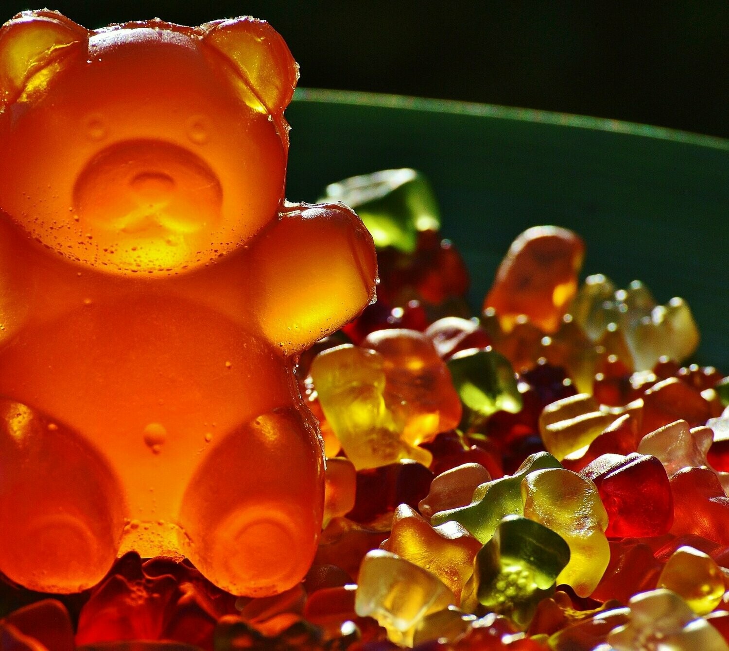 Blue Bear Topping