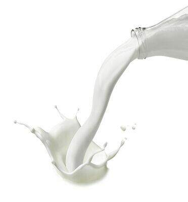 Eisbasis "100" Neutral plus