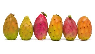 A-Kaktusfeige A-Kaktusfeige