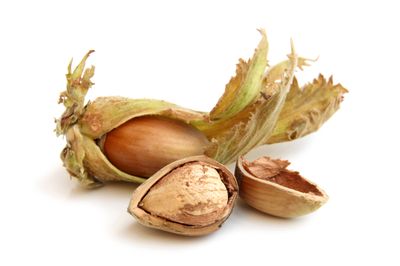 Haselnusspaste gekörnt