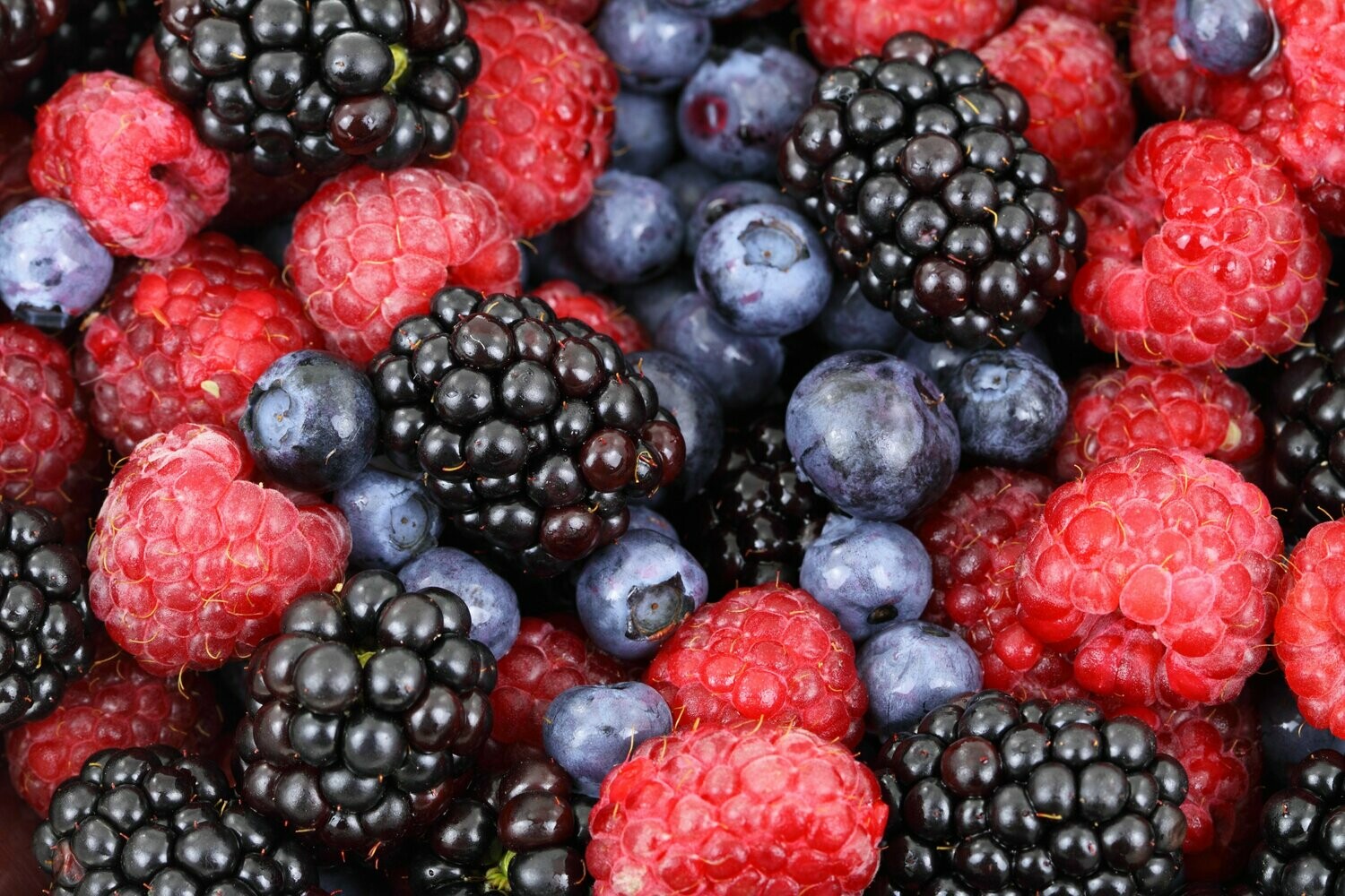 Waldfrucht Topping