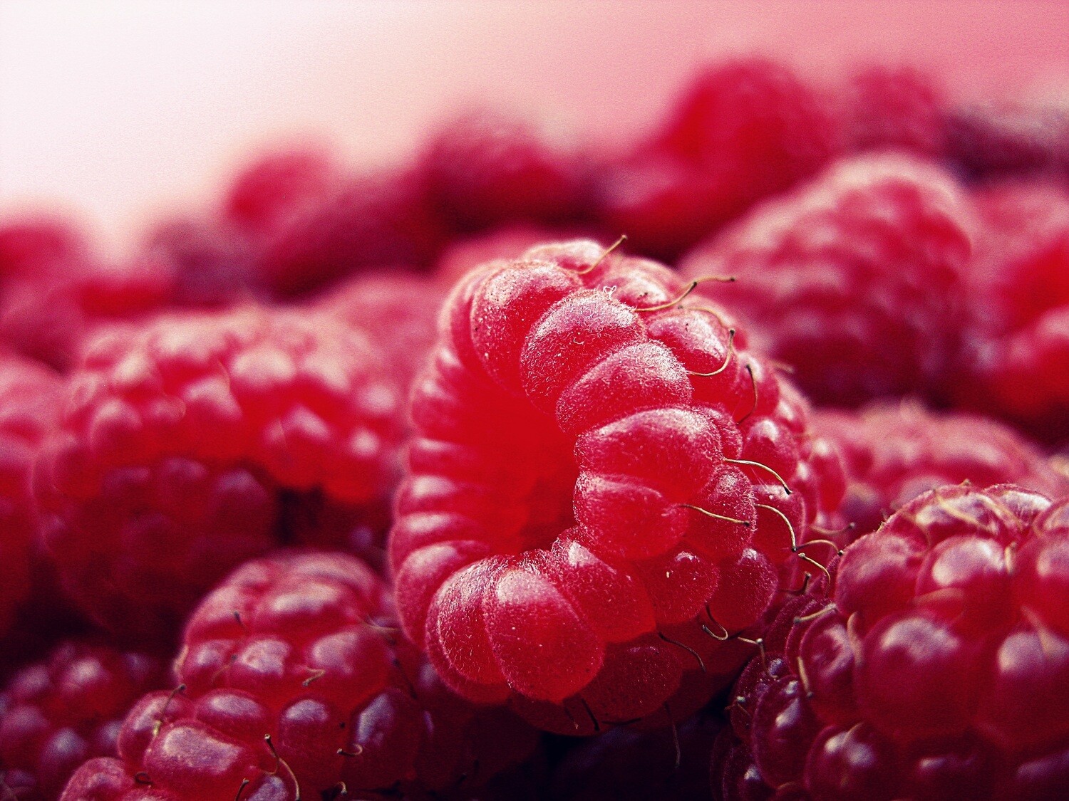 Himbeer Topping