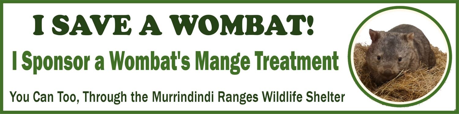 Save a Wombat Bumper sticker