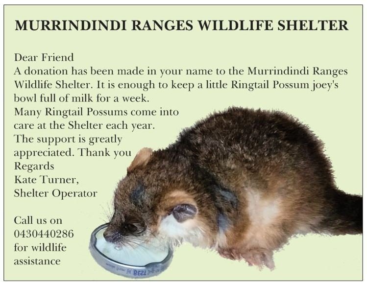 Gift Donation Magnet $5-50