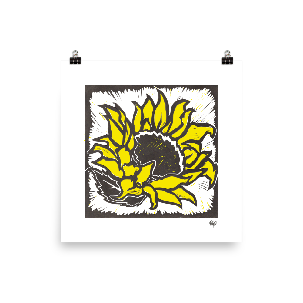 Kansas Sunflower