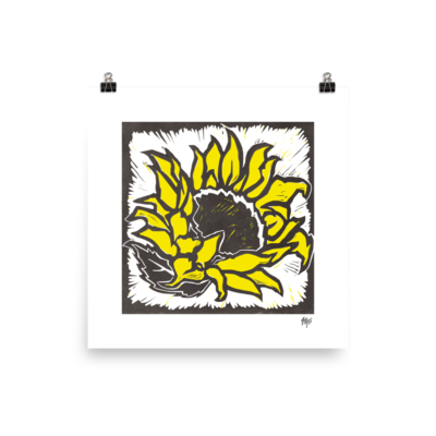 Kansas Sunflower