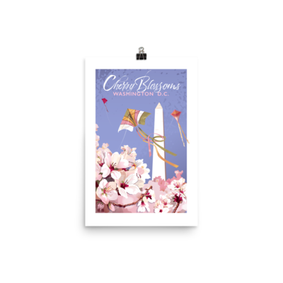 Washington D.C.: Cherry Blossoms