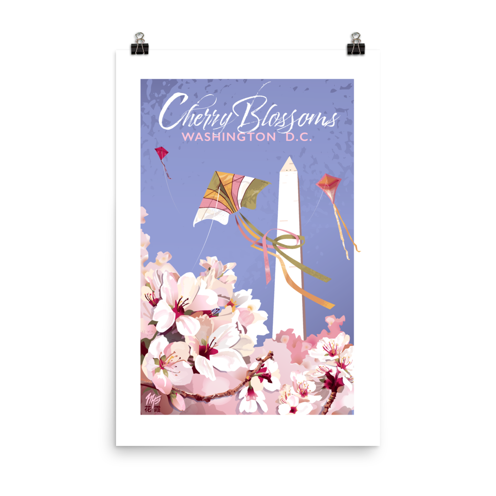 Washington D.C.: Cherry Blossoms