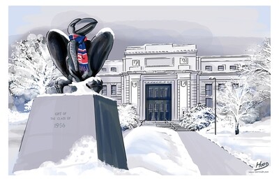 Snowy &#39;Hawk