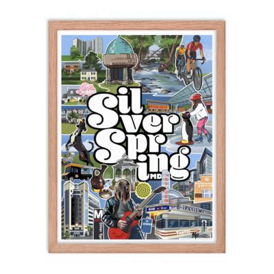 Framed Silver Spring Poster (18"x24")