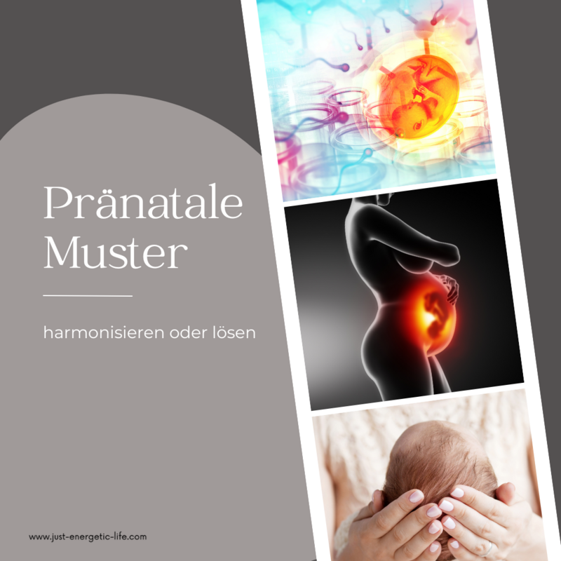 Pränatal-Muster harmonisieren
