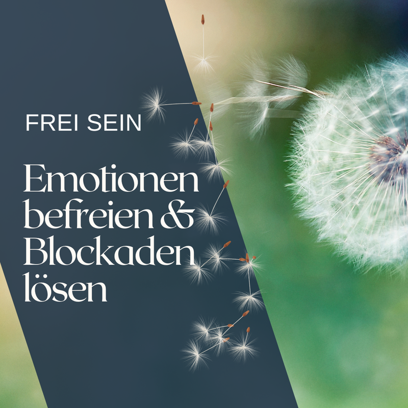 Festsitzende Emotionen & Blockaden lösen