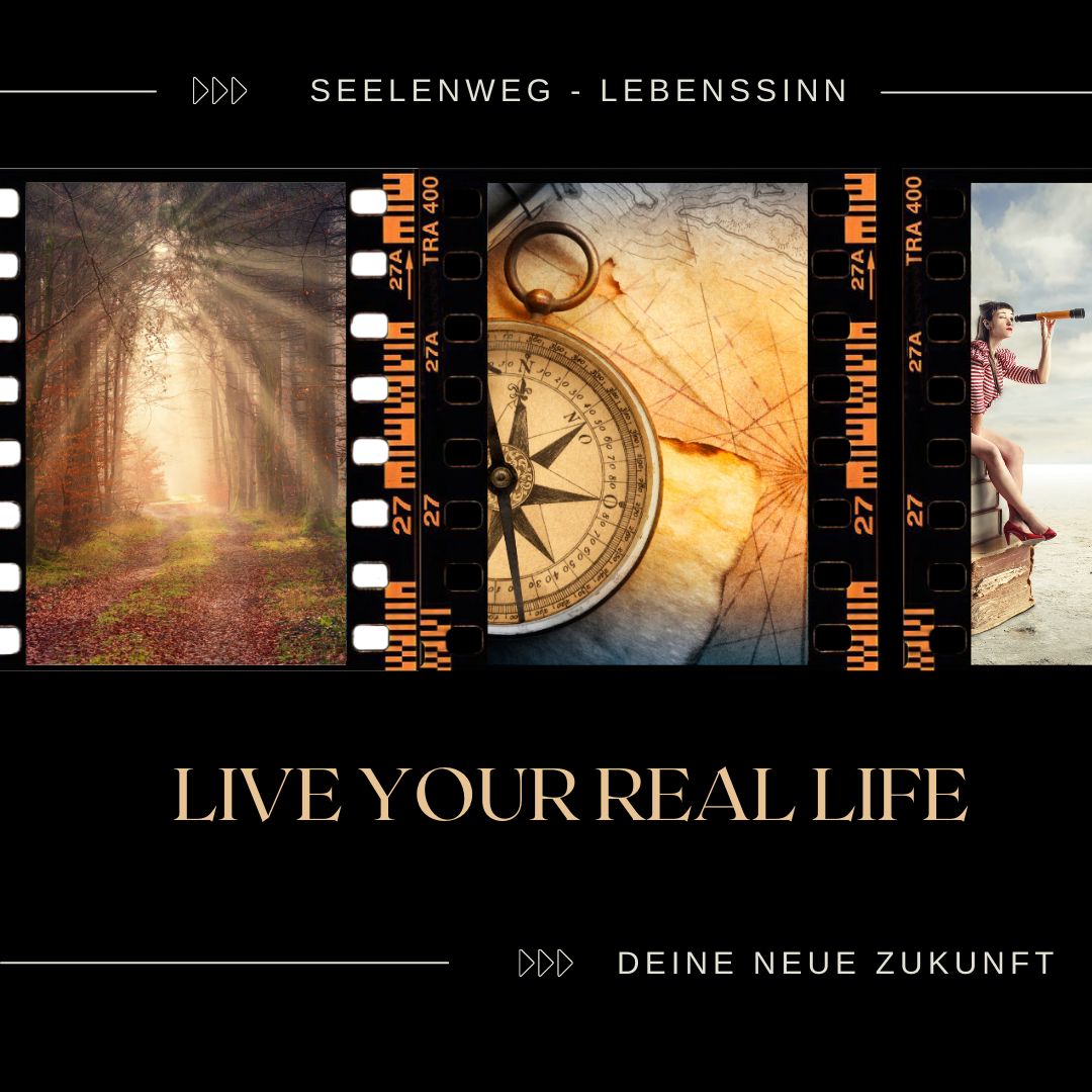 LebensWeg / LebensSinn / LebensMission 2025