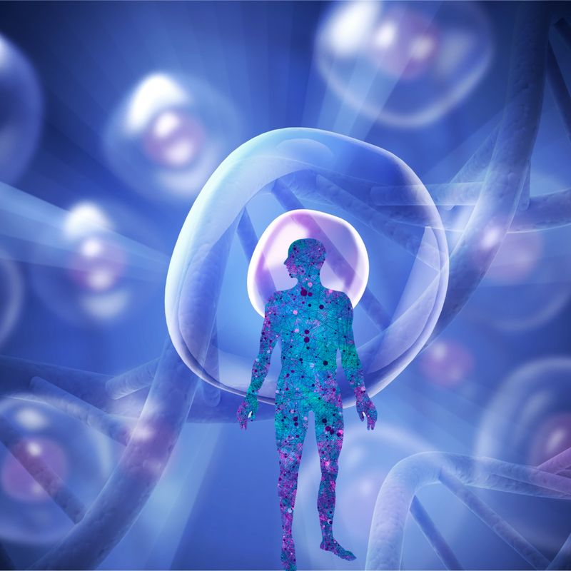 Zell- & Körpergedächtnis – Alte Prägungen lösen