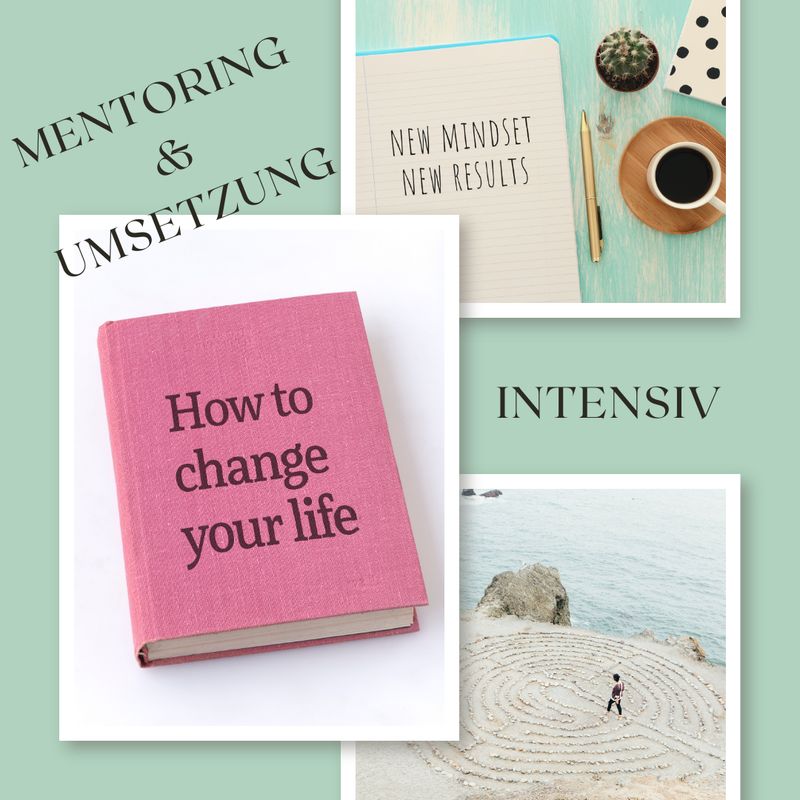 Vision & Erfolg  - 6 Monate Begleitung