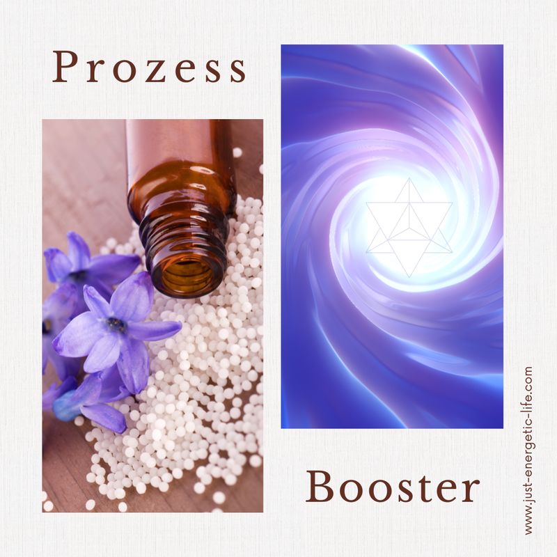 Prozess-Booster - codierte Globuli Prozess-Booster - codierte Globuli