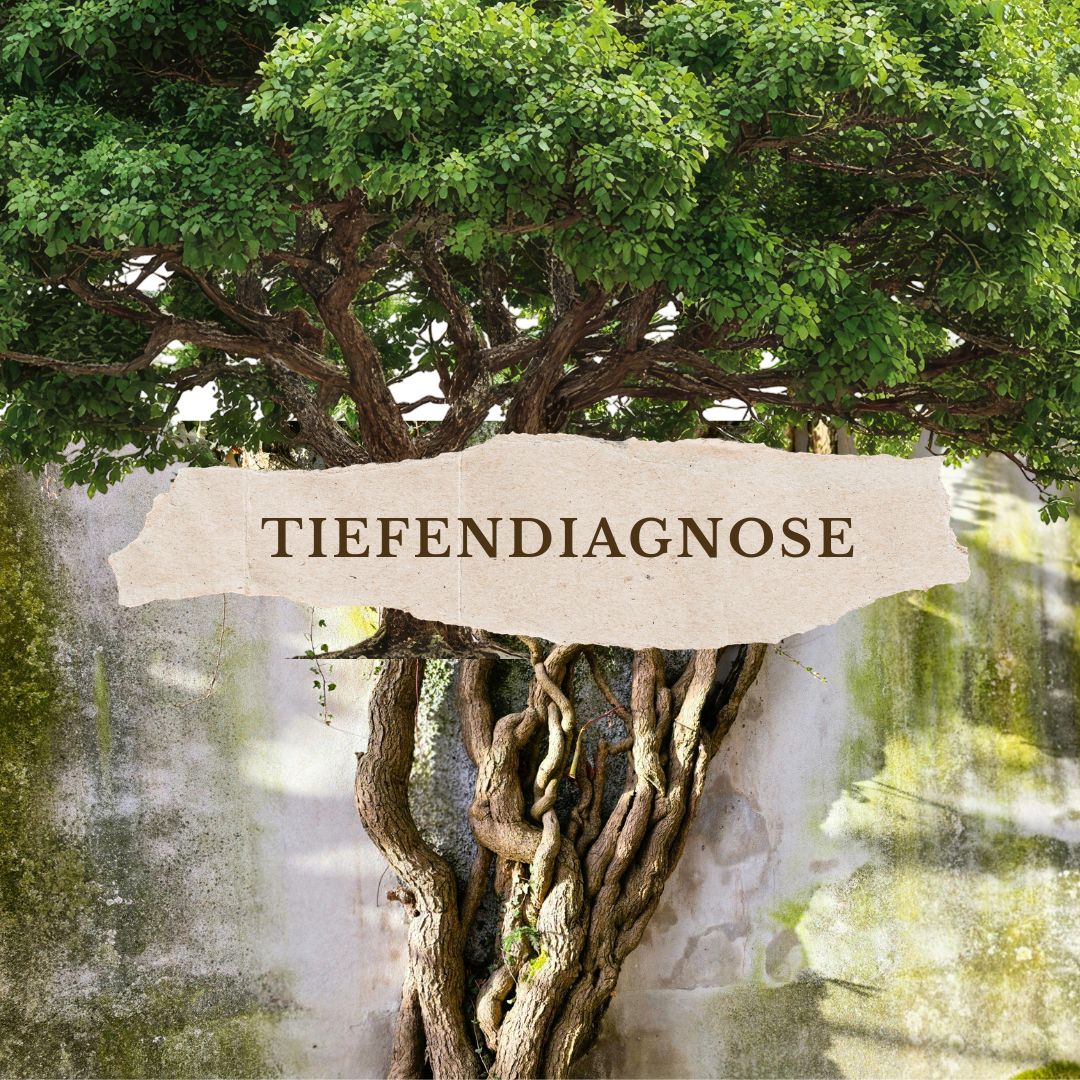 Ursachenfindung – Tiefendiagnose