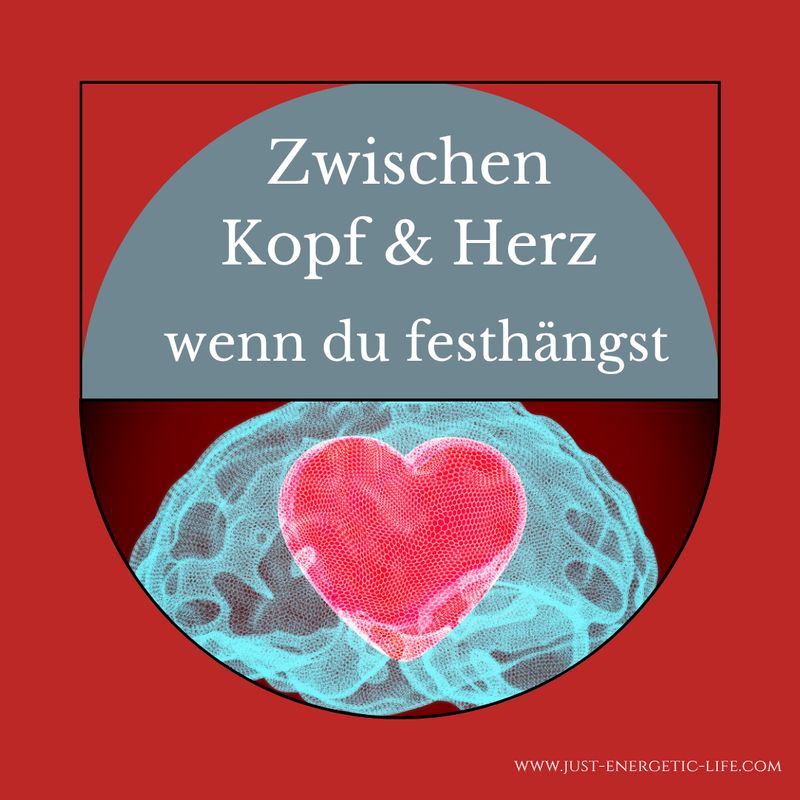 Herz vs. Kopf - körperbasierter Regulationsprozess
