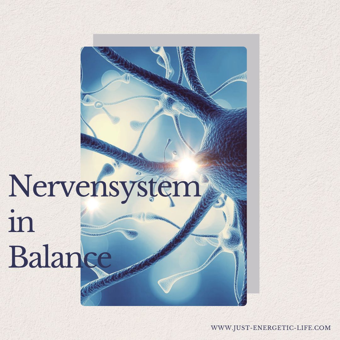 Nervensystem in Balance
