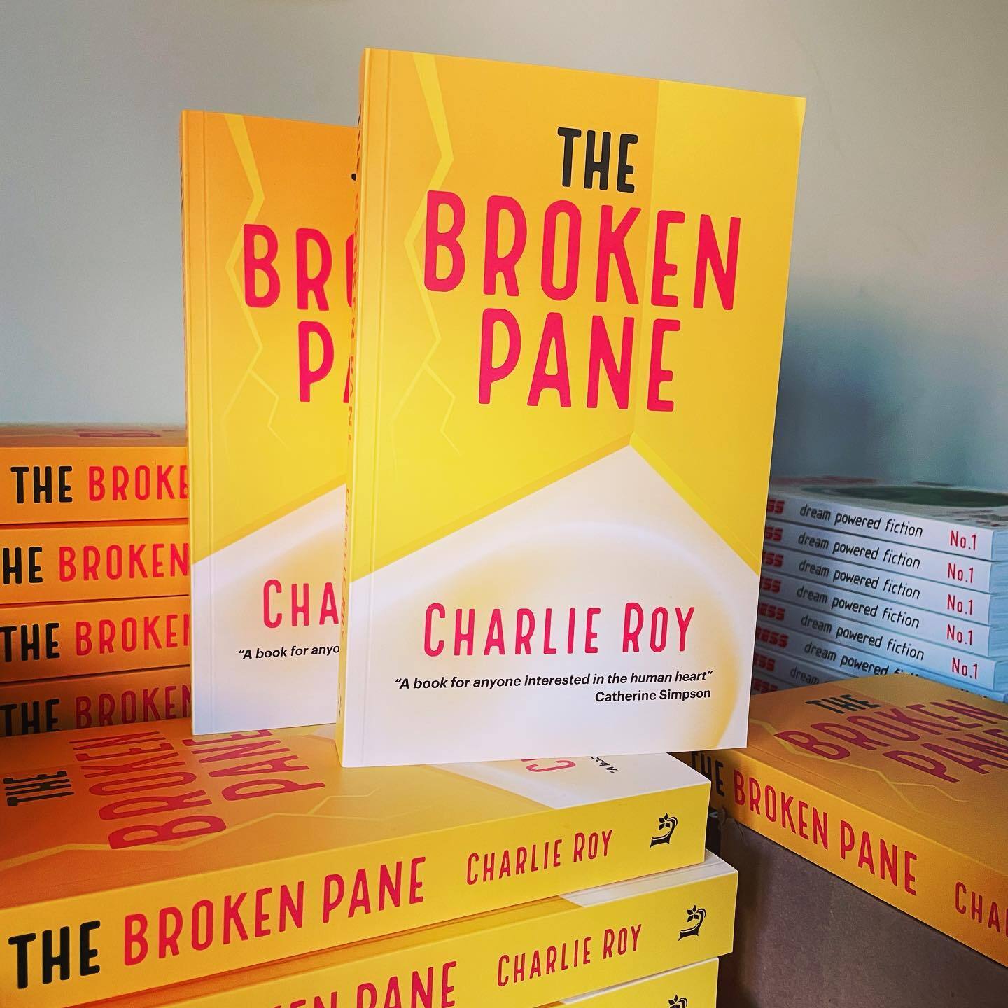 The Broken Pane by Charlie Roy