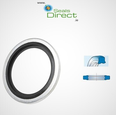 Flange and Bonded Seals
