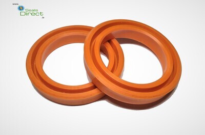 Rod and Piston Seals