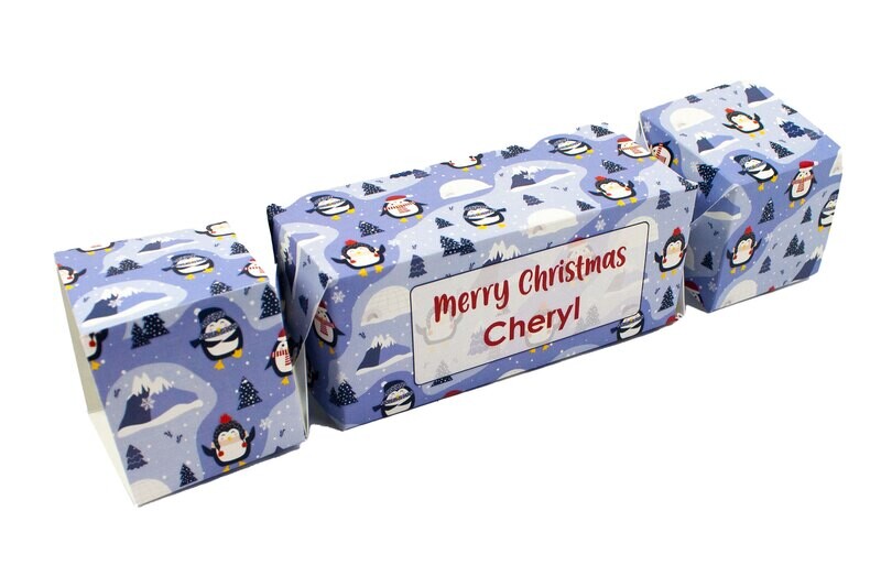 Christmas Money Wallet In the Shape Of A Cracker Shaped Box - Penguin Design
